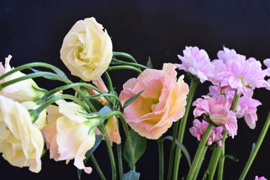 Güzel Eustoma çiçekleri siyah arkaplanı kapatır 