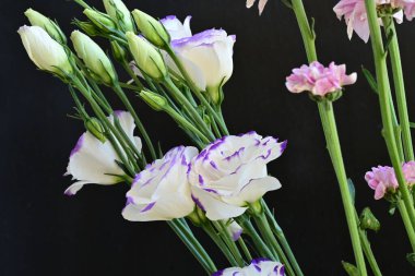 Siyah arka planda bir buket mutluluk.