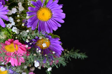 Bahçedeki güzel çiçekler