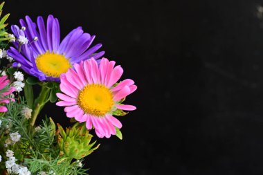 Koyu arkaplanda güzel parlak çiçekler, yaz konsepti, yakın görüş