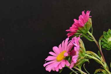 Karanlık bir arka planda izole edilmiş güzel bir Paskalya