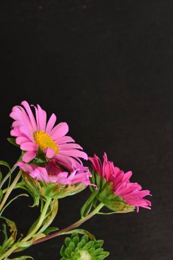 Karanlık bir arka planda izole edilmiş güzel bir Paskalya