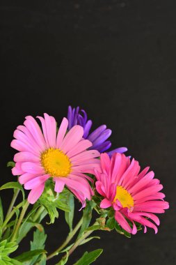 Karanlık bir arka planda izole edilmiş güzel bir Paskalya