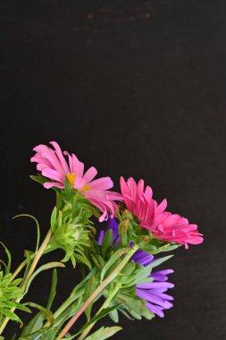 Karanlık bir arka planda izole edilmiş güzel bir Paskalya