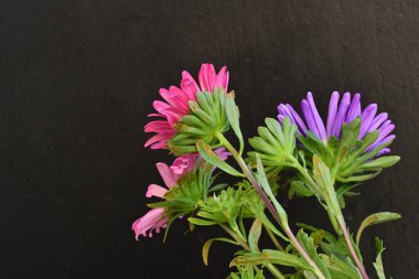 Karanlık bir arka planda izole edilmiş güzel bir Paskalya