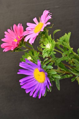 Karanlık bir arka planda izole edilmiş güzel bir Paskalya