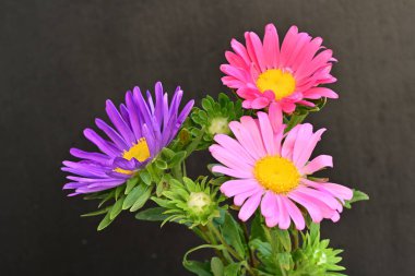 Karanlık bir arka planda izole edilmiş güzel bir Paskalya