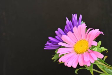 Karanlık bir arka planda izole edilmiş güzel bir Paskalya