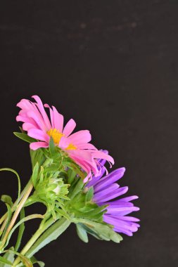 Karanlık bir arka planda izole edilmiş güzel bir Paskalya