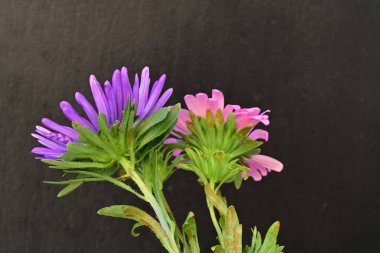 Karanlık bir arka planda izole edilmiş güzel bir Paskalya