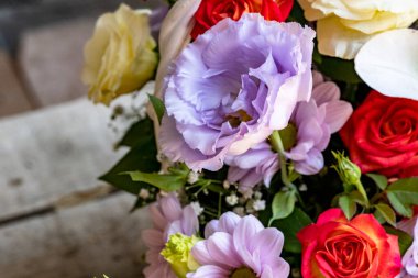 arka plan için renkli çiçekler