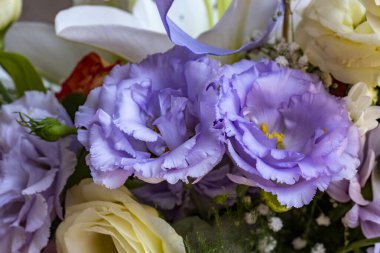 Bir buket taze renkli çiçek.