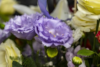 Renkli çiçek buketi, bahar çiçekleri, kapatın.