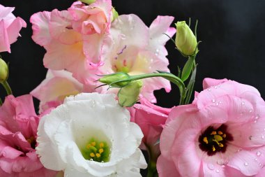 Arka planda güzel çiçekler, yakın görünüm