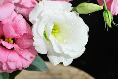 Siyah arkaplanda beyaz ve pembe östoma çiçeklerinin yakın plan çekimi..