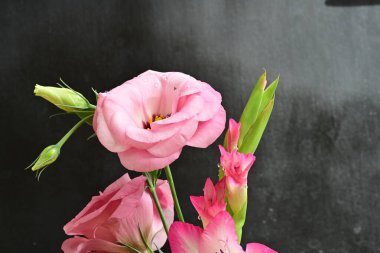 Koyu gri arkaplanda güzel çiçekler, yakın manzara.