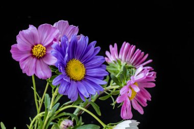 Siyah arka planda narin çiçekleri olan güzel çiçek buketini kapat.         