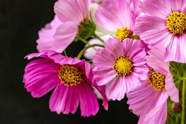 Siyah arka planda narin çiçekleri olan güzel çiçek buketini kapat.         