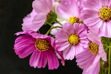 Siyah arka planda narin çiçekleri olan güzel çiçek buketini kapat.         