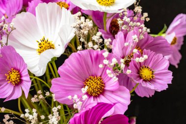 Yumuşak çiçekli güzel çiçeklerin manzarasını kapat.         