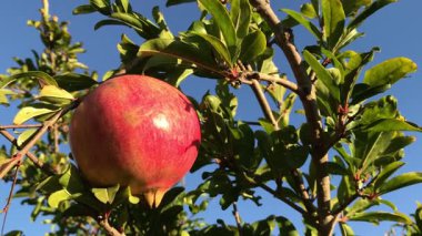 ÜÇÜNCÜ MÜZİK MÜZİK YÜZLÜK EDİLDİ