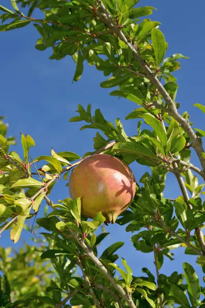 ÜÇÜNCÜ MÜZİK MÜZİK