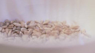 Falling sunflower seeds on white plate ,