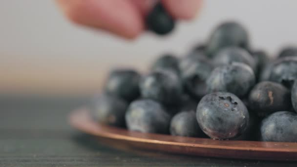 Dedos Que Toman Arándanos Frutas Arándanos Del Plato Alimentación Saludable — Vídeos de Stock