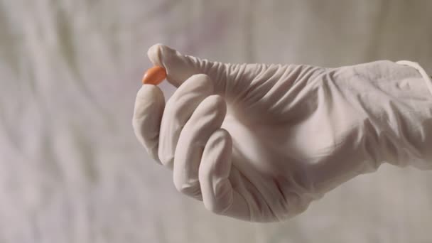 다채로운 의학에 장갑과 오렌지 — 비디오