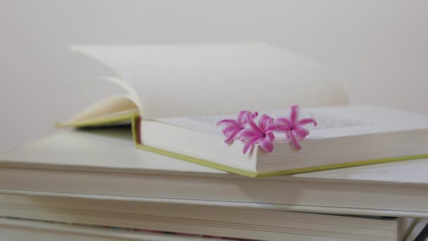 Aufgeschlagenes Buch Mit Frischen Rosa Blumen Wind Romantischer Moment — Stockvideo