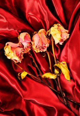Kırmızı arka planda pembe kurumuş gül çiçekleri, anılar ve romantik aktiviteler