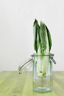 Sehpanın üzerindeki cam kavanozda yeşil pazı ya da İsviçre pazısı yaprakları salata için kullanılan bir sebze.