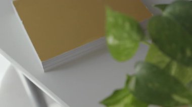 Yeşil bitki yaprakları yakınındaki beyaz masaya farklı kitaplar koyun, ev yaşamları veya kütüphane masası