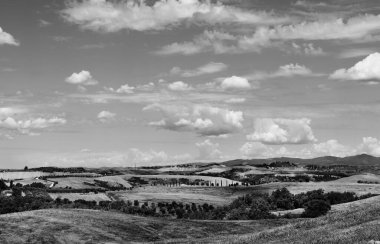 Ascanio yakınlarındaki Toskana toprakları sükunet arayanlar veya ortaçağ köylerini keşfedenler için ideal istikamet hasat ettikten sonra