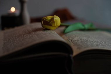 Yanında mumlar olan renkli kitaplar, güzel bir dokuya yerleştirilmiş.