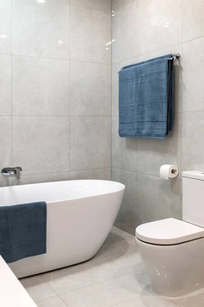 现代宽敞奢华的浴室翻新 图库图片