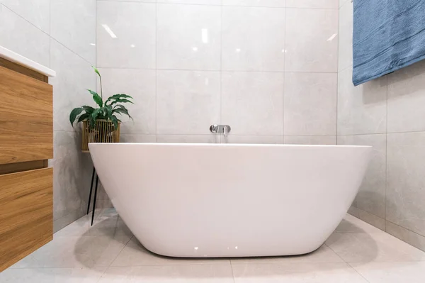 Modern Spacious Luxurious Bathroom Renovation Royalty Free Stock Photos