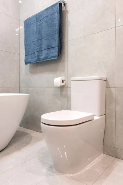 现代宽敞奢华的浴室翻新 免版税图库图片