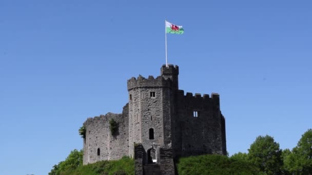 Walesisk Flagga Cardiff Slott Solig Dag — Stockvideo