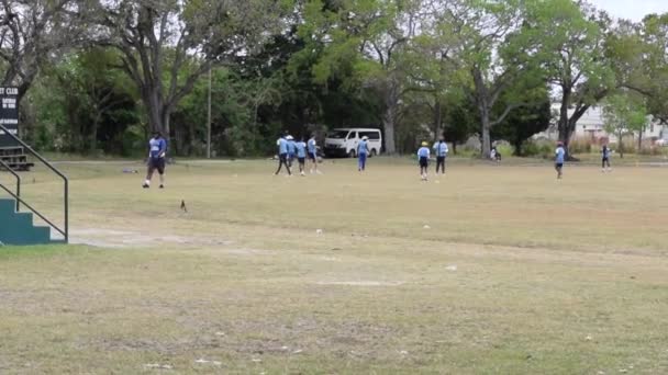 バルバドスの首都公園でクリケットをプレイするまで温暖化 — ストック動画