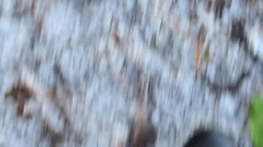 Walking on forest frosted ground covered with snow and leaves, slow motion clip.