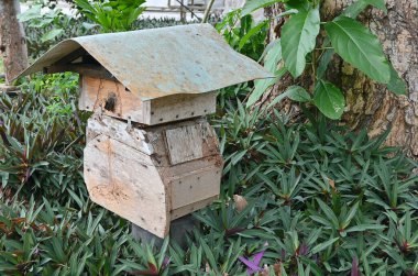 Doğal ahşaptan yapılmış arı kovanı.