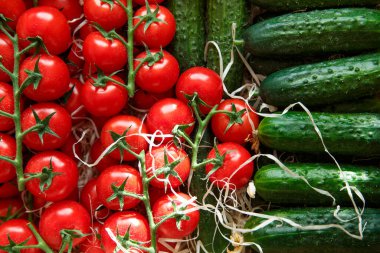 Taze organik vişneli domateslerin arka planında salatalıklar ve salatalıklar var.