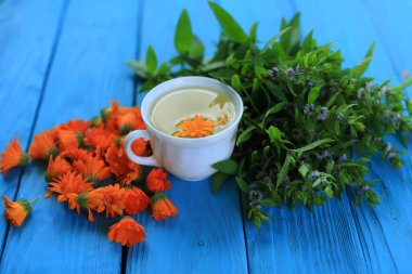White porcelain cup with marigold flower tea on a blue wooden background with a bunch of fresh flowering mint