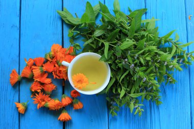 White porcelain cup with marigold flower tea on a blue wooden background with a bunch of fresh flowering mint