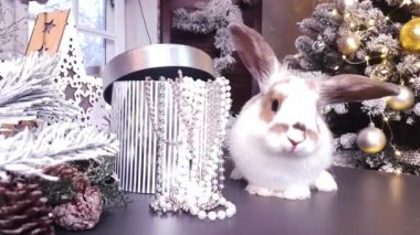 A white-brown rabbit sits on a table against the background of a box with beads and a Christmas tree decorated with golden balls and a luminous garland