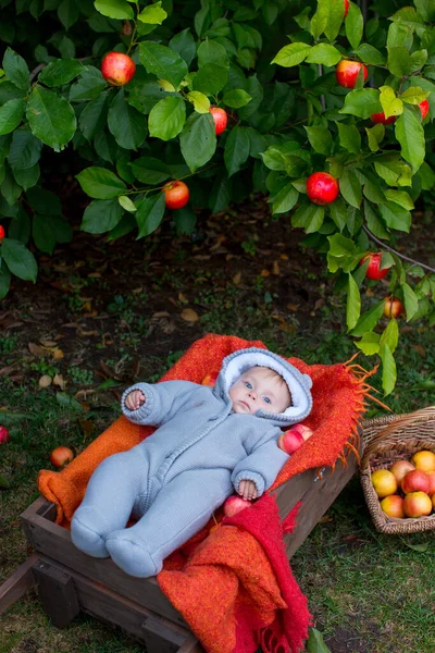 Eight Month Old Blue Eyed Boy Knitted Gray Overall Lies — Stock Photo, Image