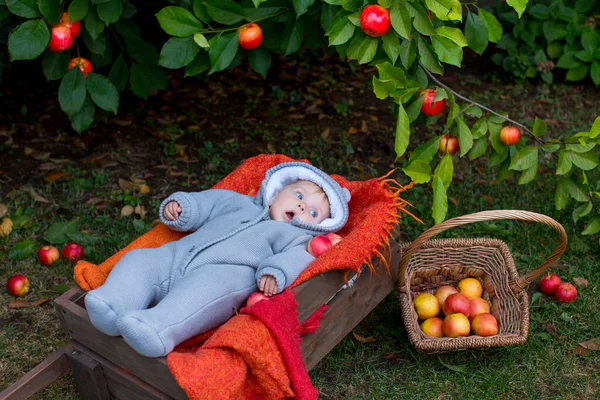 Eight Month Old Blue Eyed Boy Knitted Gray Overall Lies — Stock Photo, Image