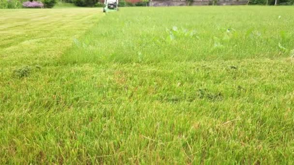 양복을 정원사 정원에서 잔디깎는 기계를 가지고 잔디를 — 비디오