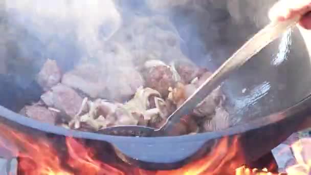 우즈베키스탄 가마솥에 기름에 양파를 고기를 이상으로 — 비디오